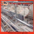 Cheap chicken cage types of poultry equipment